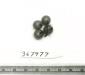 Click for 1 image(s) for this accession. FRUIT